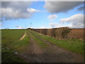 Farm track west of Lowdham in NG14 7DN
