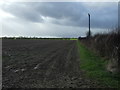 Field and hedgerow, Skipsea Brough in YO25 8AG