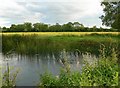 River Soar and pasture land in LE2 9JT