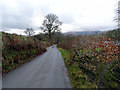 Looking in the direction of Llanuwchllyn in LL23 7DB