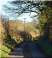 Country lane, Wolverton, Hampshire in RG26 5RS