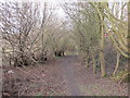Path alongside County Dike in S26 5LB