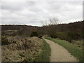 Path in Rother Valley Country Park in S26 4SX