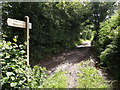 Bridleway meets lane in TA20 3BH