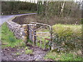 Glanrhyd Chapel - gate into Baptism area in SA67 8TR