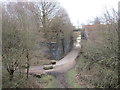 Disused railway bridge in S21 1EL