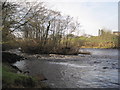 Island in the River North Tyne in NE48 4BX