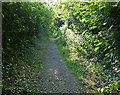 Path along the top of Barnton Tunnel in CW8 4HP