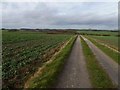 Permissive footpath on farm track to Jack's Furze in Hallington