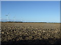 Ploughed field off Lissett Lane (A165) in YO25 8PX