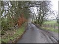 Road to Lundie in DD2 5NW