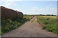 Farm track near Slates Farm in Gayton Le Marsh