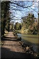 Towpath beside the Stroudwater Canal in GL10 2LE