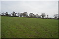 Field near Howe House Farm in HG3 1QL