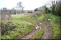 Muddy Track in Annes Wood in TA18 7EL