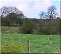 Upland Field Scene With Dry Stone walls in CF48 2DD