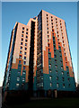 Bayswater Tower Flats on Ings Road Estate at Sundown in HU8 9JA