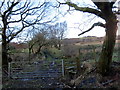 Llwybr Durclawdd Fawr Path in Llannon Community