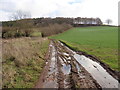 Track on Gaddon Down in EX15 3DF