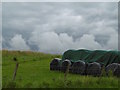Round bale silage, Kirkton of Kingoldrum in DD8 5HW