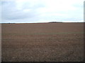 Stubble field east of Grindale in YO16 4XX