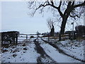 Farm track and footpath off West Auckland Road in DL4 1PY