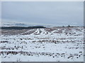 Snowy field east of Adelaide Bank in DL14 8UW