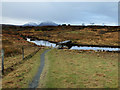 Footbridge over the Allt Linnidal in IV42 8YD
