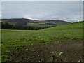 North of Loch of Lintrathen in DD8 5JA