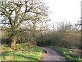 Stream crossing below Spain Farm in EX5 2BL