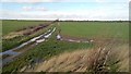 Two tracks on the map in Meering