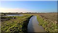 Just another drainage ditch, near Besthorpe in Besthorpe