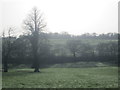 Trees and fields in wintry sunshine, south of High Leigh in EN11 8JX