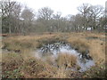 Hertford Heath Nature Reserve in SG13 7RH