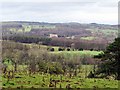 Farmland west of Simonburn in NE48 3AX