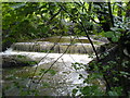 Weir in Borsdane Woods in WN2 2SN