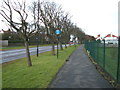 Dual use path beside Filey Road in YO11 3AA