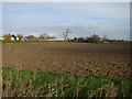 Field by Hawkin's Drove in CB7 4TA