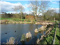 The village pond, Willian in SG6 3TU