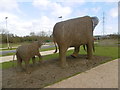 Elephants at Ebbsfleet Valley in DA10 1FP