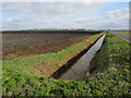 Ditch by Farthing Drove in IP28 8EG