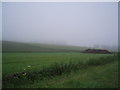 Muck heap in the mist! in DD8 2SB