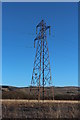 Pylon at Sillyhole Moss in Doon Valley Ward