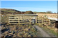 Path with Kissing Gate in Doon Valley Ward