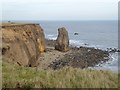 Sea stack at Pincushion Rocks in SR2 0NW