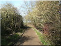 The lane past Nine Springs, Purwell in SG4 0NF