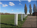 Poplars and Posts, Hackney Marsh in E10 7QS