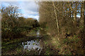 Flooded Bridleway beside Govier Way in BS35 4PP