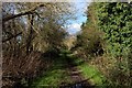 Bridleway leading towards Severn Beach in BS35 4PP