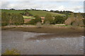 Part of the Teign Estuary in TQ12 4RT